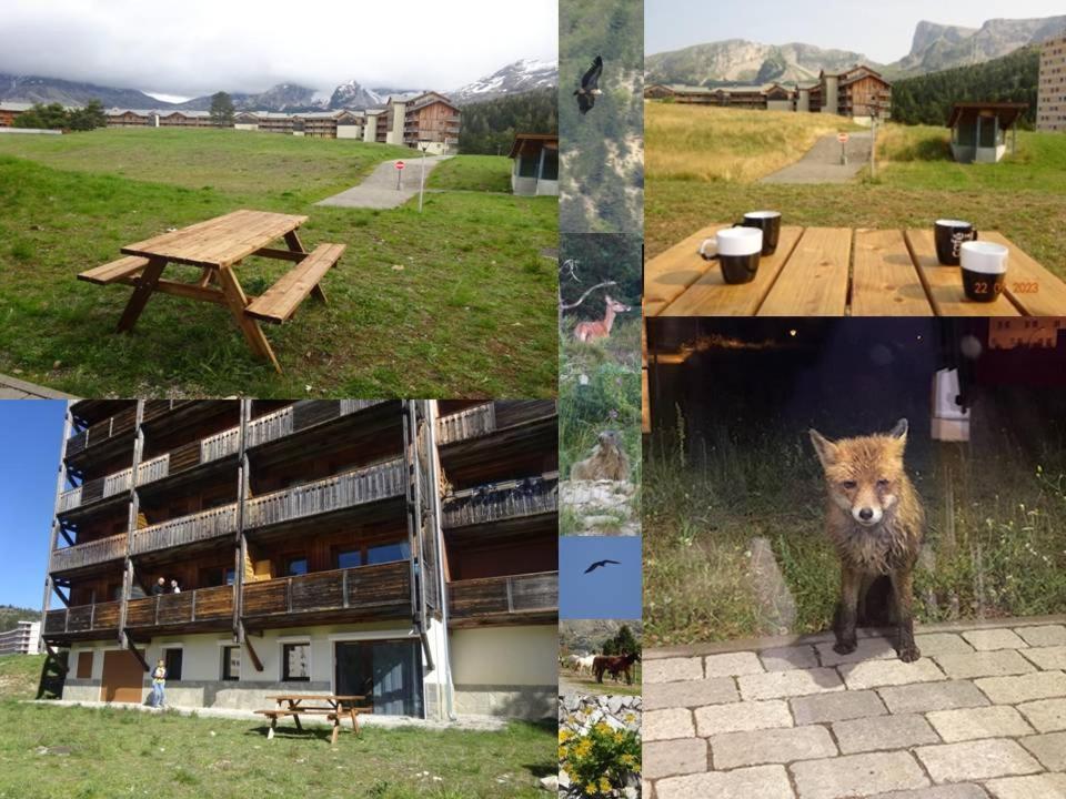 Appartement 8-10 Personnes Superdevoluy Hautes Alpes Rez De Chaussee Vue Panoramique 3 Chambres Saint-Étienne-en-Dévoluy 외부 사진